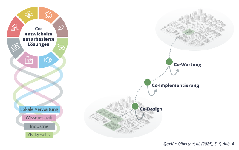 Grafik des Vierfach-Helix-Modells mit Akteuren (Verwaltung, Wissenschaft etc.) für naturbasierte Lösungen und deren Prozess.